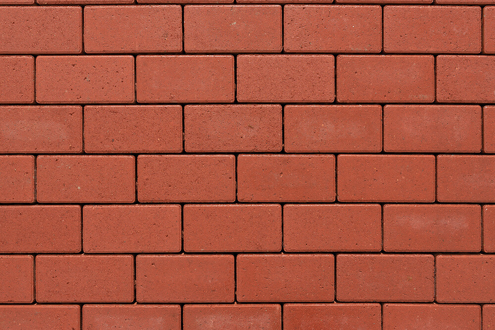 Rot